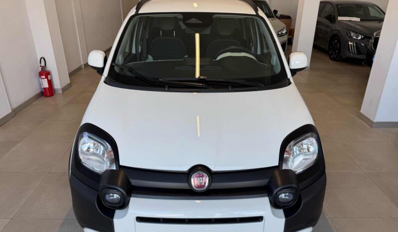 
								FIAT Panda Cross 1.0 FireFly S&S Hybrid Pandina full									