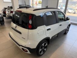 FIAT Panda Cross 1.0 FireFly S&S Hybrid Pandina