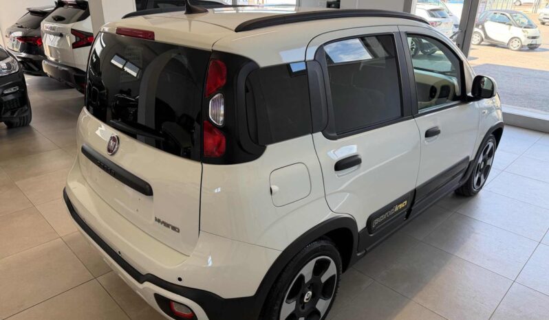 
								FIAT Panda Cross 1.0 FireFly S&S Hybrid Pandina full									