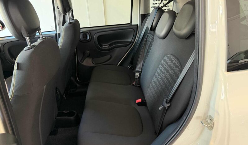 
								FIAT Panda Cross 1.0 FireFly S&S Hybrid Pandina full									