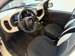 
										FIAT Panda Cross 1.0 FireFly S&S Hybrid Pandina full									