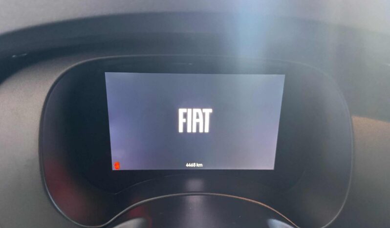 
								FIAT Panda 1.0 FireFly S&S Hybrid full									