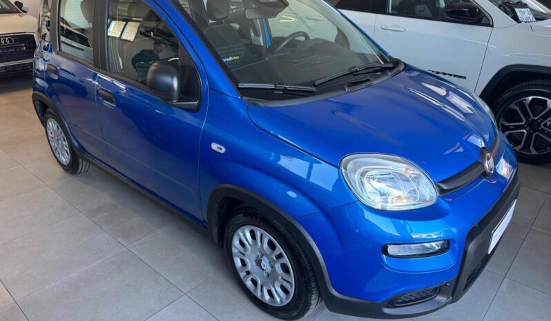 
								FIAT Panda 1.0 FireFly S&S Hybrid full									