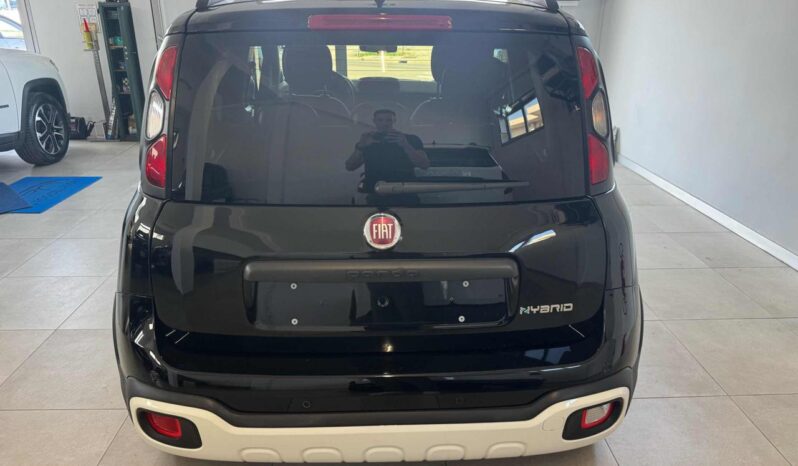 
								FIAT Panda Cross 1.0 FireFly S&S Hybrid Pandina full									