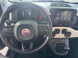 
										FIAT Panda Cross 1.0 FireFly S&S Hybrid Pandina full									