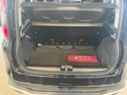 
										FIAT Panda Cross 1.0 FireFly S&S Hybrid Pandina full									