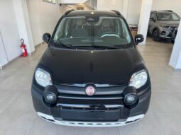
										FIAT Panda Cross 1.0 FireFly S&S Hybrid Pandina full									